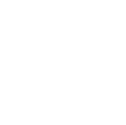 Cisco Partner Gold Certified